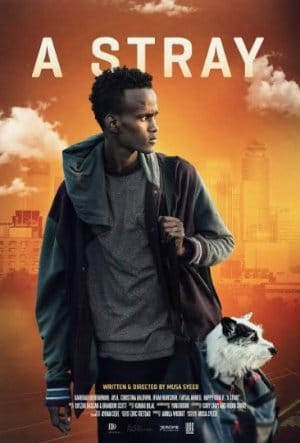 A Stray (2016) Me Titra Shqip